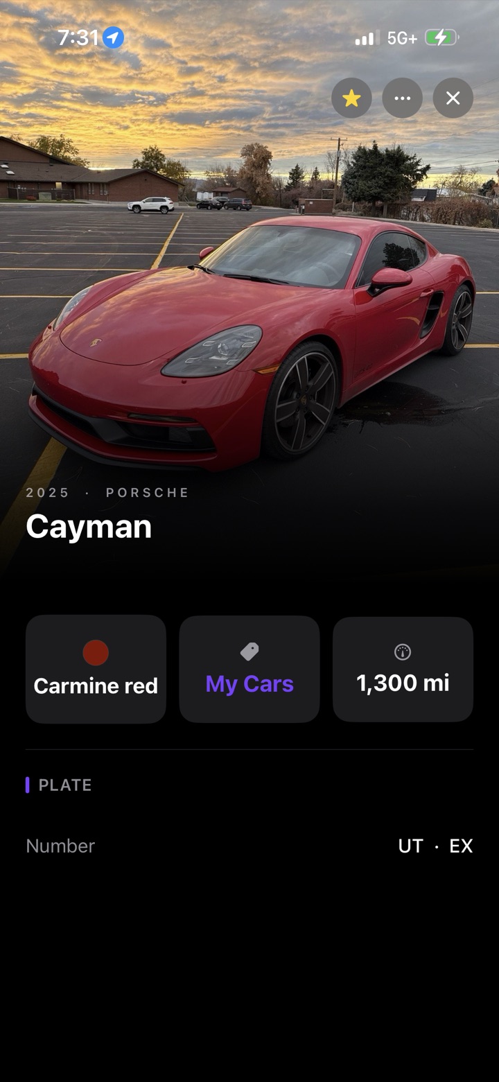 Car detail in garage